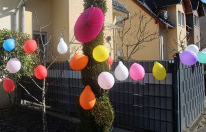 rosenmotag2025c