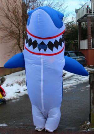 rosenmontag2026c